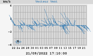 Wind Vector