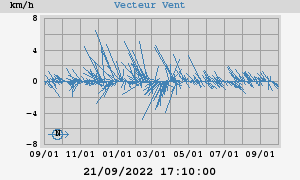 Wind Vector